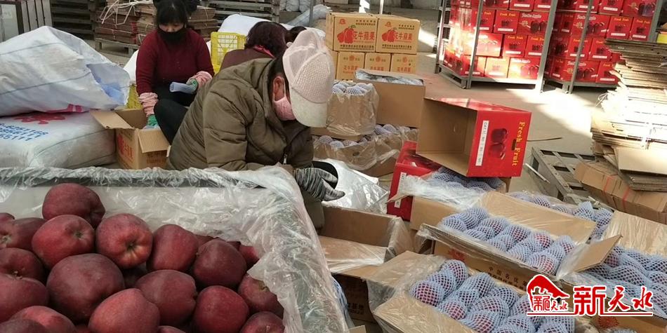 天水“花?！弊罱悬c“?！?>
        </a><em>天水“花牛”最近有點“?！?/em></li>
    <li><a  target=