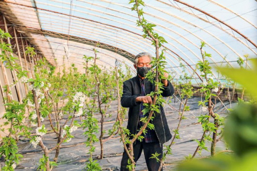 銅城復(fù)蘇：春光明媚，邀你共賞芳華（組圖）