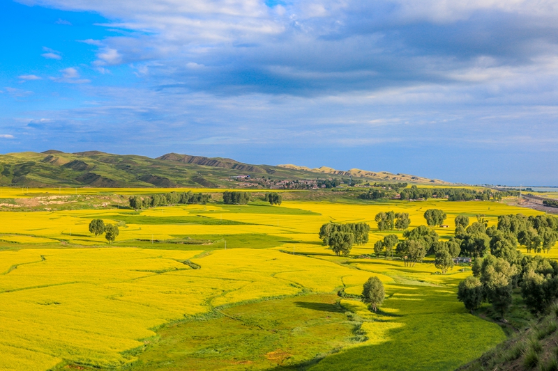 創(chuàng)意海報丨甘肅的美，你來了才知道