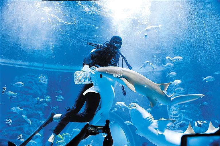 蘭州海洋公園 金昌火星1號基地 這個暑假我們“上天入?！?>
        </a><em>蘭州海洋公園 金昌火星1號基地 這個暑假我們“上天入?！?/em></li>
    <li><a  target=