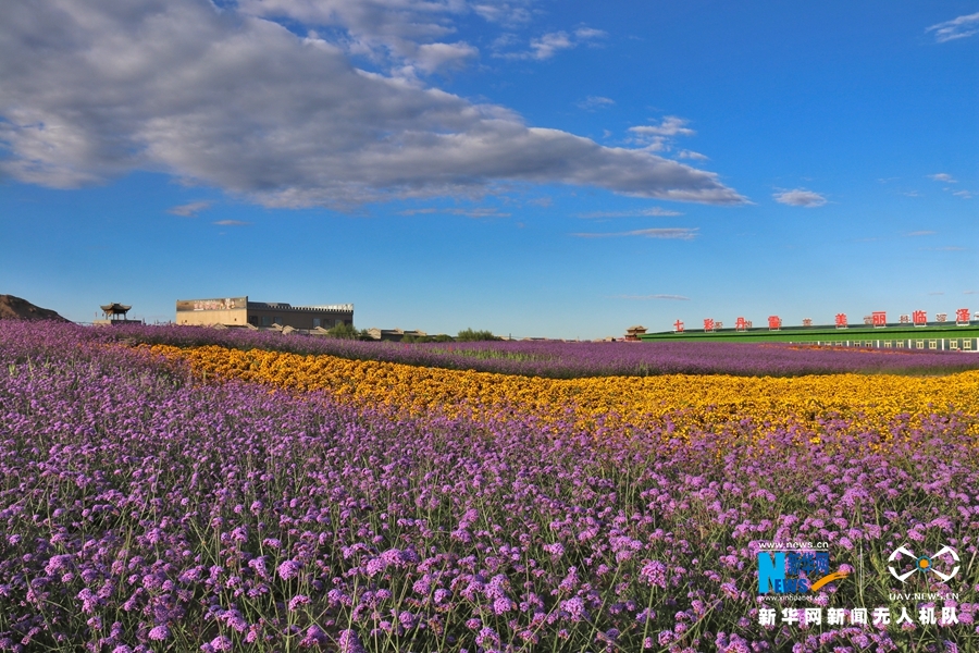 【“飛閱”中國(guó)】鳳凰花?！罢钩帷钡は伎?>
        </a><em>【“飛閱”中國(guó)】鳳凰花海“展翅”丹霞口</em></li>
    <li><a  target=
