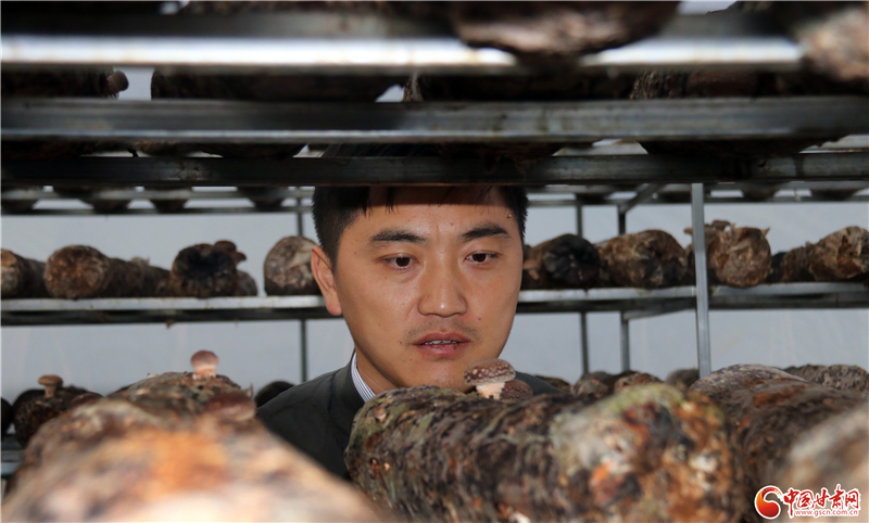 110年！何家溝村終于有了集體經(jīng)濟——中建二局黨建結(jié)對幫扶成效顯著