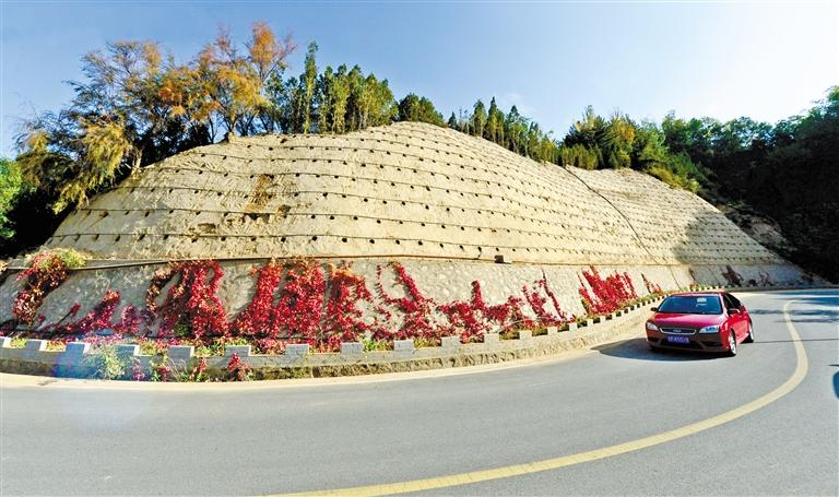 近90度陡坡上種樹！蘭州南北兩山綠化出新招