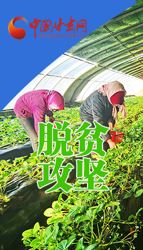 圖解|關(guān)于脫貧攻堅 書記省長這樣強調(diào)