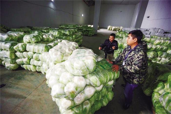 蘭州市已儲(chǔ)備1萬噸冬春蔬菜以耐貯存、易周轉(zhuǎn)品種為主