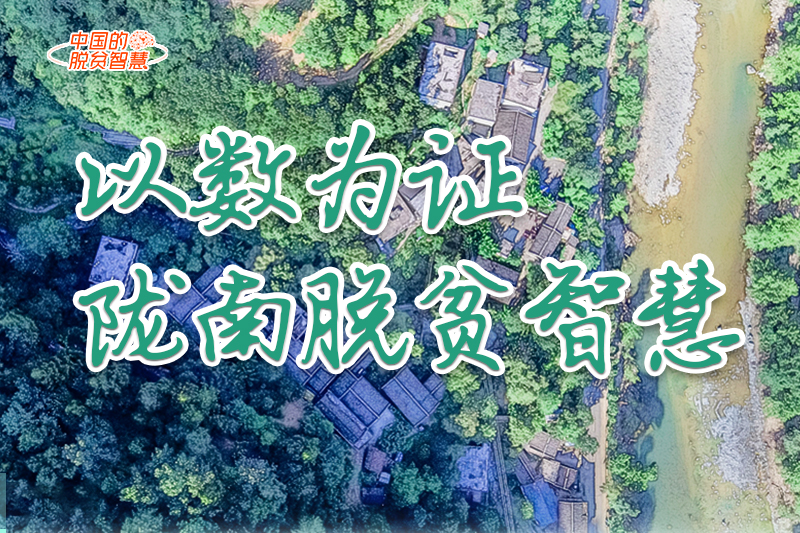 【中國的脫貧智慧】以數(shù)為證！隴南脫貧智慧來了！