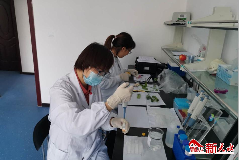 天水市市場(chǎng)監(jiān)管局開(kāi)展“消費(fèi)扶貧”食品專項(xiàng)監(jiān)督抽檢