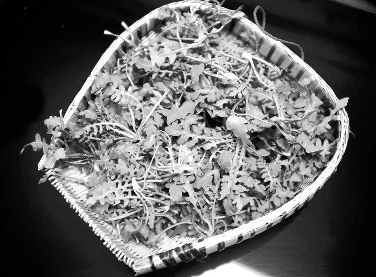 甘肅美食丨摘野菜，咬個“春”，讓味蕾清新起來