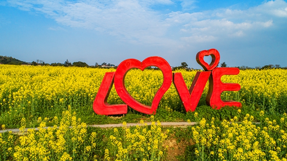 “l(fā)ove”創(chuàng)意拍照墻。廖濤 攝