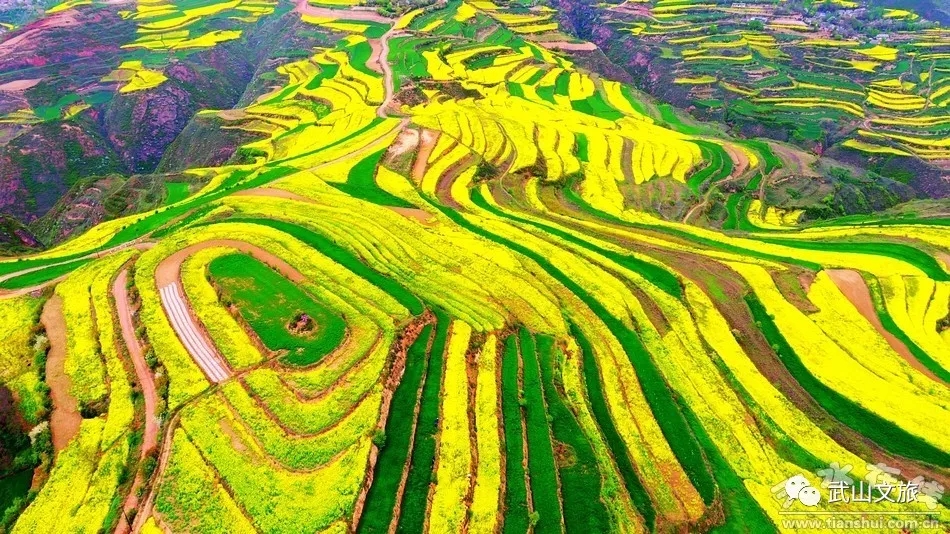 武山:人勤春早 文旅融和發(fā)展生機(jī)盎然
