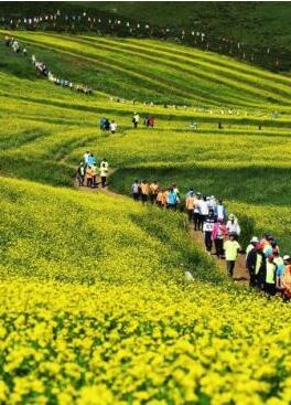 甘肅明確農(nóng)民進(jìn)城落戶:不以退出承包地、林地等為條件