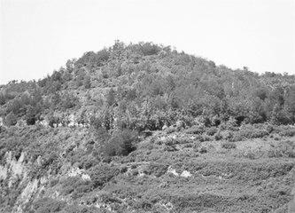 歷史眼丨張果老是正寧人？他與甘肅福緣不淺