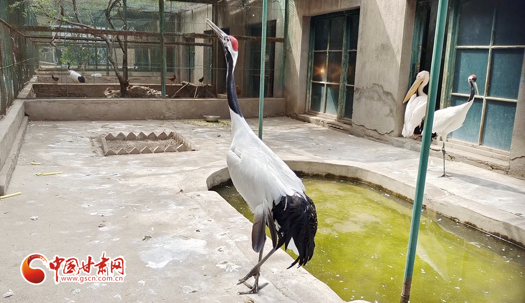 蘭州公安提醒市民：非緊急非必要，不出境