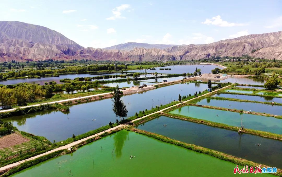 一秒入畫！太極島濕地風(fēng)光秀麗