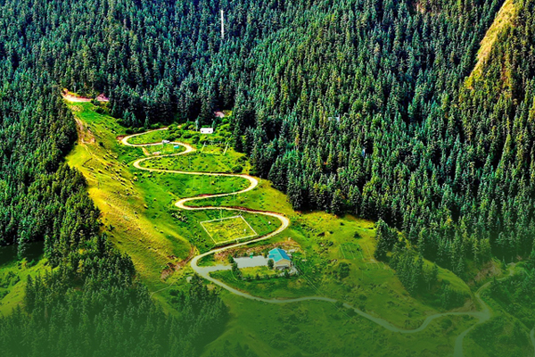 海報(bào)|祁連山保護(hù)區(qū)生態(tài)環(huán)境問(wèn)題整改全面完成！