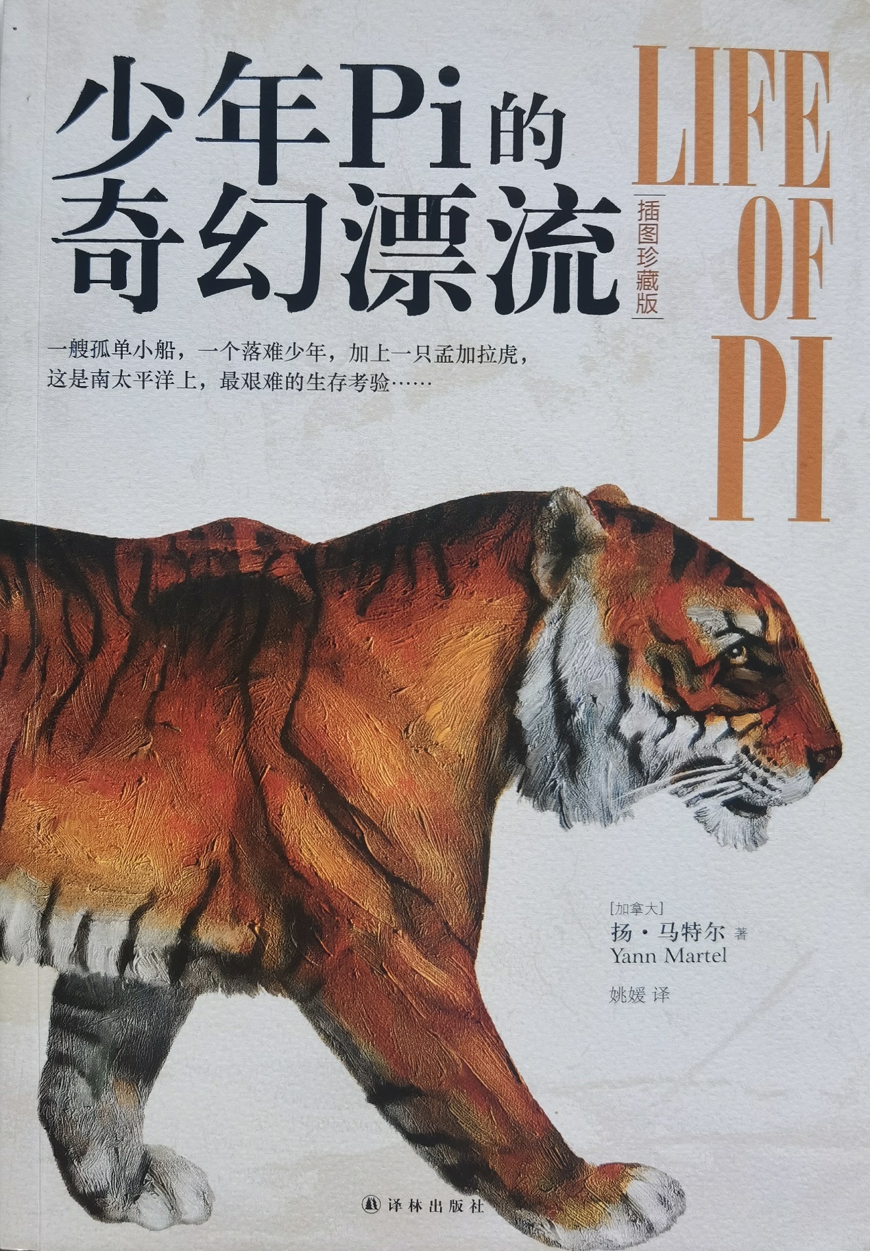 插圖1：揚？馬特爾的小說《少年pi的奇幻漂流》封面