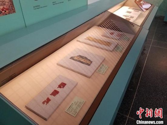 圖為展覽現(xiàn)場?！《鼗脱芯吭汗﹫D