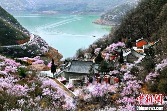 甘肅平?jīng)鍪惺侵袊鴥?yōu)秀旅游城市。圖為平?jīng)鲠轻忌较率锾一ㄊ㈤_。(資料圖) 平?jīng)鍪形麄鞑抗﹫D