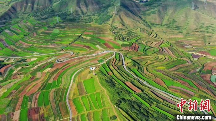 秋日里，榆中縣馬坡鄉(xiāng)千畝梯田，不同農(nóng)作物漸趨成熟，呈現(xiàn)出多種色彩，宛若大地的“調(diào)色盤(pán)”。　劉曉波 攝