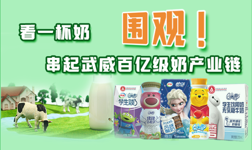 圖解|圍觀！看一杯奶串起武威百億級奶產(chǎn)業(yè)鏈