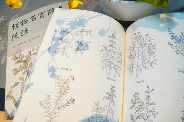 《植物名實(shí)圖考校注》內(nèi)頁。圖片來源：中華書局供圖