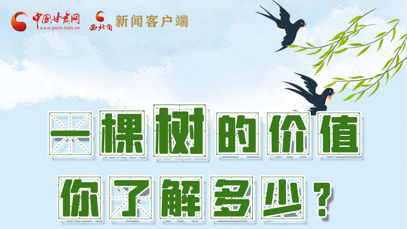 圖解|一棵樹的價(jià)值你了解多少?來看！