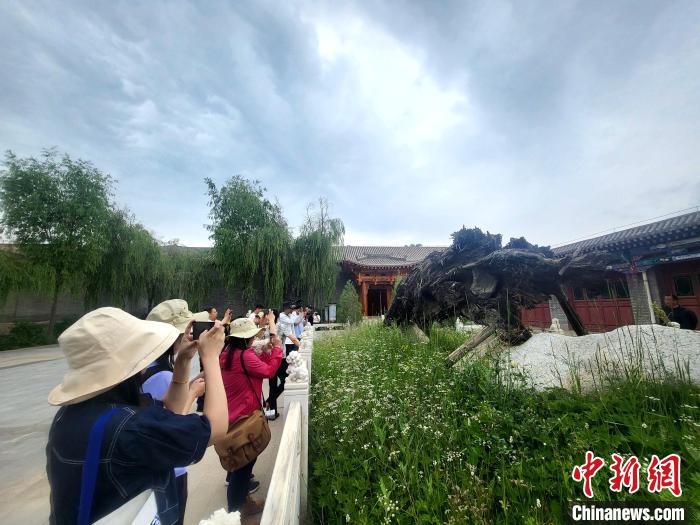 圖為媒體記者在青海永錄民俗參觀采訪。　薛蒂 攝