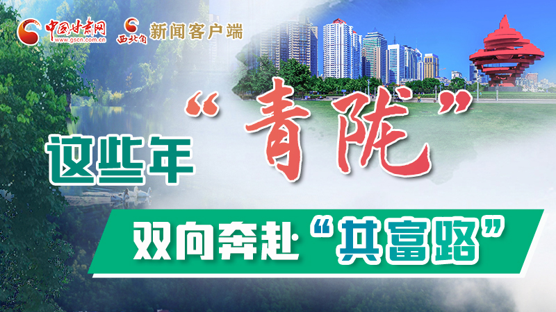 【江河奔流·青隴協(xié)作譜新篇】這些年，“青隴”雙向奔赴“共富路”