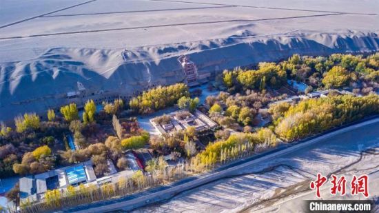 2022年11月，航拍深秋季節(jié)的莫高窟?！　⊥醣筱y 攝