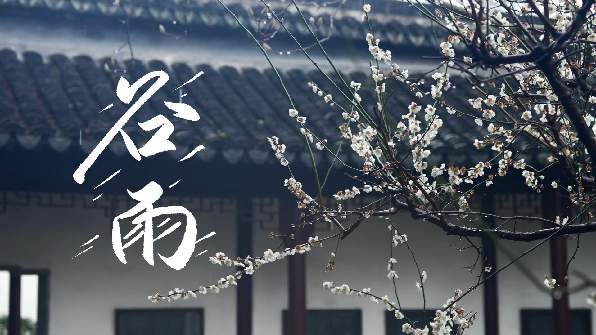 【節(jié)氣里的大美甘肅】谷雨，春天的最后一次回眸