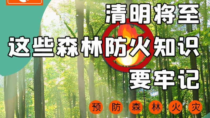 【甘快看】圖解|緊繃“安全弦”！清明，這些森林防火知識要牢記