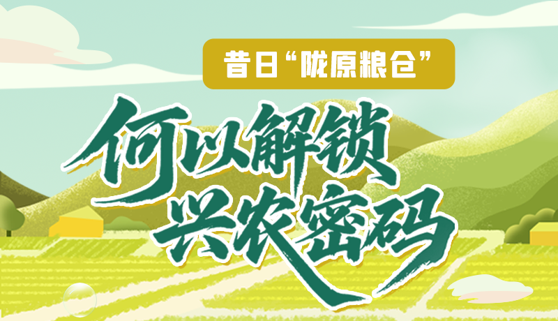 【理響中國·話隴點睛（3）】昔日“隴原糧倉”，何以解鎖“興農(nóng)密碼”