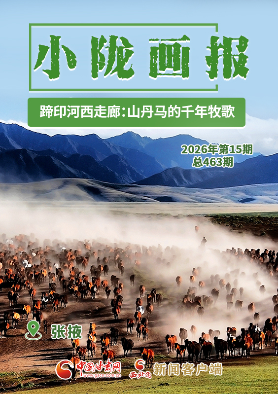 【小隴畫(huà)報(bào)·463期】蹄印河西走廊：山丹馬的千年牧歌
