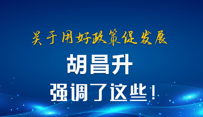 圖解|關(guān)于用好政策促發(fā)展 胡昌升強(qiáng)調(diào)了這些！