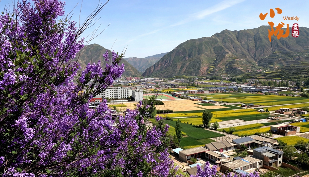武山：花漫山村織成詩(shī) 五月灘歌入畫(huà)來(lái)